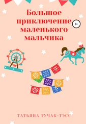 Татьяна Тучак-Тэсс - Большое приключение маленького мальчика
