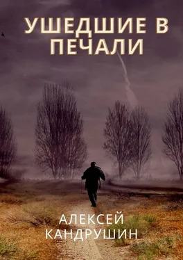 Алексей Кандрушин Ушедшие в печали обложка книги