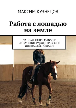 Максим Кузнецов Работа с лошадью на земле. Natural Horsemanship и обучение работе на земле для вашей лошади обложка книги