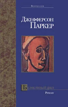 Т. Паркер Безмолвный Джо обложка книги