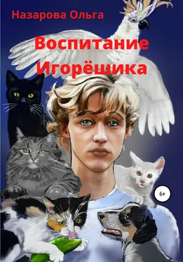 Ольга Назарова Воспитание Игорёшика обложка книги