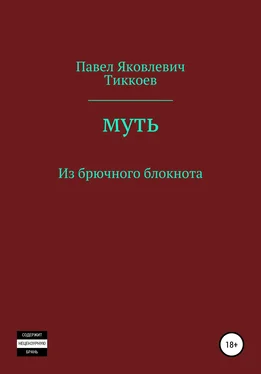 Павел Тиккоев Муть. Из брючного блокнота