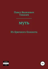 Павел Тиккоев - Муть. Из брючного блокнота