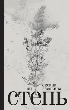 Оксана Васякина Степь обложка книги