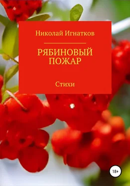 Николай Игнатков Рябиновый пожар обложка книги
