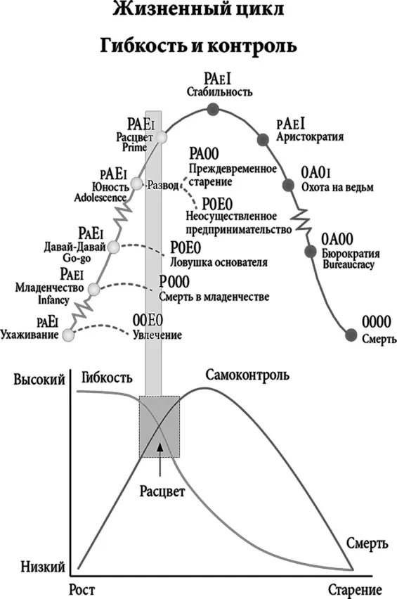 Книги Ицхака Адизеса в которых подробно описывается тема Управление - фото 19