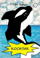 Лана Верина - Косатик