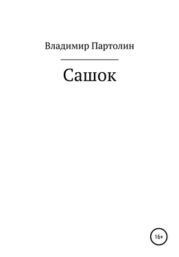 Владимир Партолин Сашок обложка книги