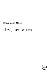 Владислав Март - Лес, лес и пёс