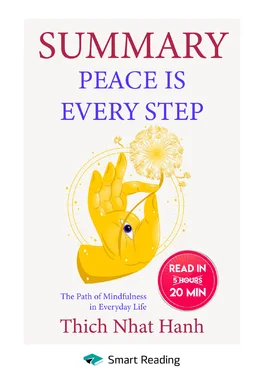 Smart Reading Summary: Peace Is Every Step. The Path of Mindfulness in Everyday Life. Thich Nhat Hanh обложка книги