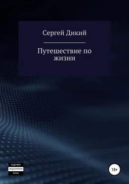 Сергей Дикий Путешествие по жизни обложка книги