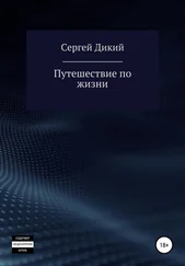 Сергей Дикий - Путешествие по жизни