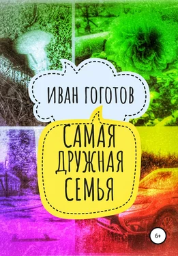 Иван Гоготов Самая дружная семья обложка книги
