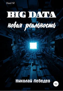 Николай Лебедев Big Data. Новая реальность обложка книги