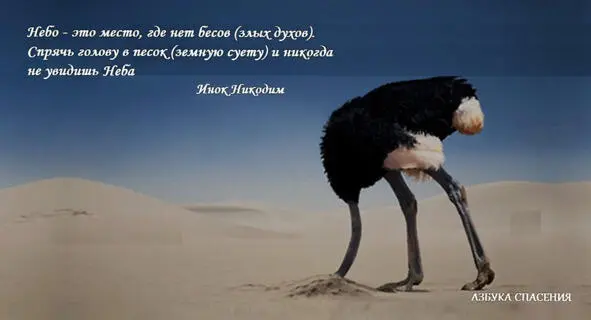 Посему говорю вам не заботьтесь для души вашей что вам есть ни для тела - фото 3