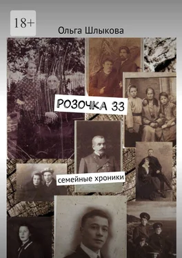 Ольга Шлыкова Розочка, 33. Семейные хроники обложка книги