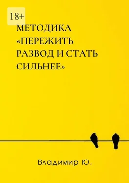 Владимир Ю. Методика «Пережить развод и стать сильнее» обложка книги