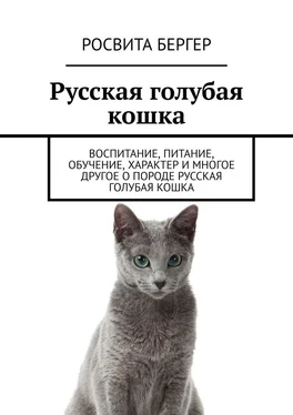 Росвита Бергер Русская голубая кошка. Воспитание, питание, обучение, характер и многое другое о породе русская голубая кошка обложка книги