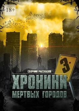 Сергей Кулагин «Хроники мёртвых городов – 3». Сборник рассказов обложка книги