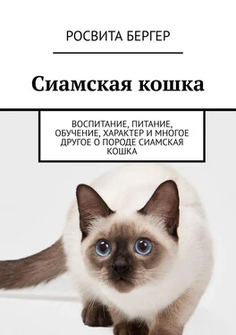 Росвита Бергер Сиамская кошка. Воспитание, питание, обучение, характер и многое другое о породе сиамская кошка обложка книги