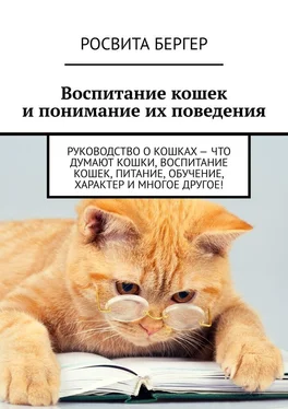 Росвита Бергер Воспитание кошек и понимание их поведения. Руководство о кошках – что думают кошки, воспитание кошек, питание, обучение, характер и многое другое! обложка книги