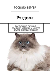 Росвита Бергер - Рэгдолл. Воспитание, питание, обучение, характер и многое другое о породе рэгдолл