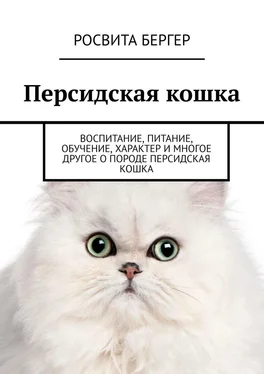 Росвита Бергер Персидская кошка. Воспитание, питание, обучение, характер и многое другое о породе персидская кошка обложка книги