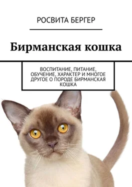 Росвита Бергер Бирманская кошка. Воспитание, питание, обучение, характер и многое другое о породе бирманская кошка обложка книги