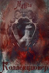 Мария Кокорева - Коллекционер (СИ)