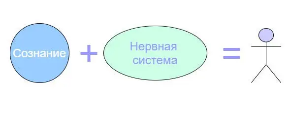 Сознание и нервная система создают осознанность Давай посмотрим какой это путь - фото 2