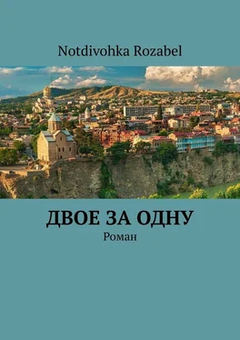 Notdivohka Rozabel Двое за одну. Роман обложка книги