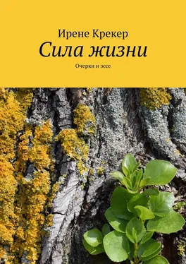 Ирене Крекер Сила жизни. Очерки и эссе обложка книги