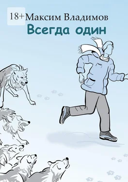 Максим Владимов Всегда один обложка книги