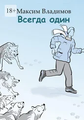 Максим Владимов - Всегда один