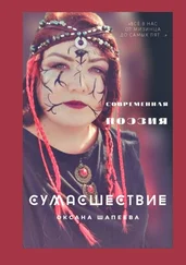 Оксана Шапеева - Сумасшествие. Современная поэзия