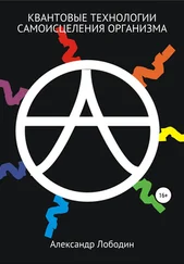 Александр Лободин - Квантовые технологии самоисцеления организма