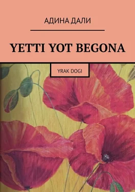 Адина Дали Yetti yot begona. Yrak dogi обложка книги