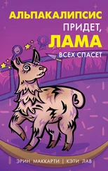 Эрин Маккарти - Альпакалипсис придет, Лама всех спасет