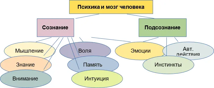 Рис 1 Основные функции психики и мозга человека На рисунке что сознательная - фото 1