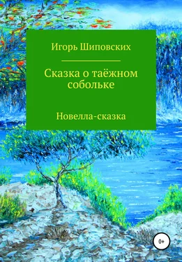 Игорь Шиповских Сказка о таёжном собольке обложка книги