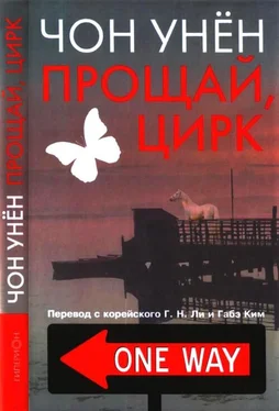 Унён Чон Прощай, цирк обложка книги