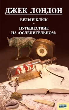 Джек Лондон Белый клык. Любовь к жизни. Путешествие на «Ослепительном» (сборник) обложка книги