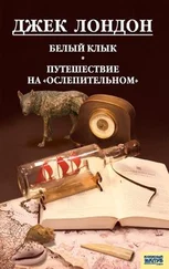 Джек Лондон - Белый клык. Любовь к жизни. Путешествие на «Ослепительном» (сборник)