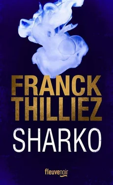 Franck Thilliez Sharko обложка книги