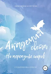Олеся Сударикова - Академия света. На перепутье миров
