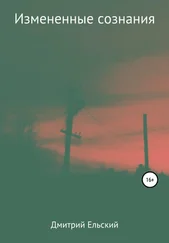 Дмитрий Ельский - Изменённые сознания