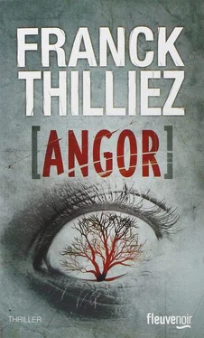 Franck Thilliez Angor обложка книги