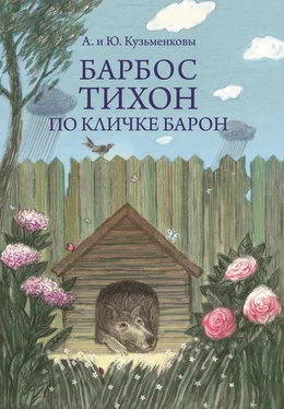 Юлия Кузьменкова Барбос Тихон по кличке Барон, или 12 дождливых дней обложка книги