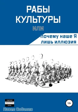 Павел Соболев Рабы культуры, или Почему наше Я лишь иллюзия обложка книги