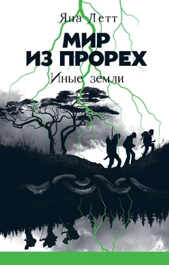 Яна Летт Мир из прорех. Иные земли обложка книги